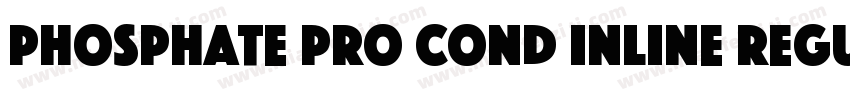 Phosphate Pro Cond Inline Regular Unde字体转换